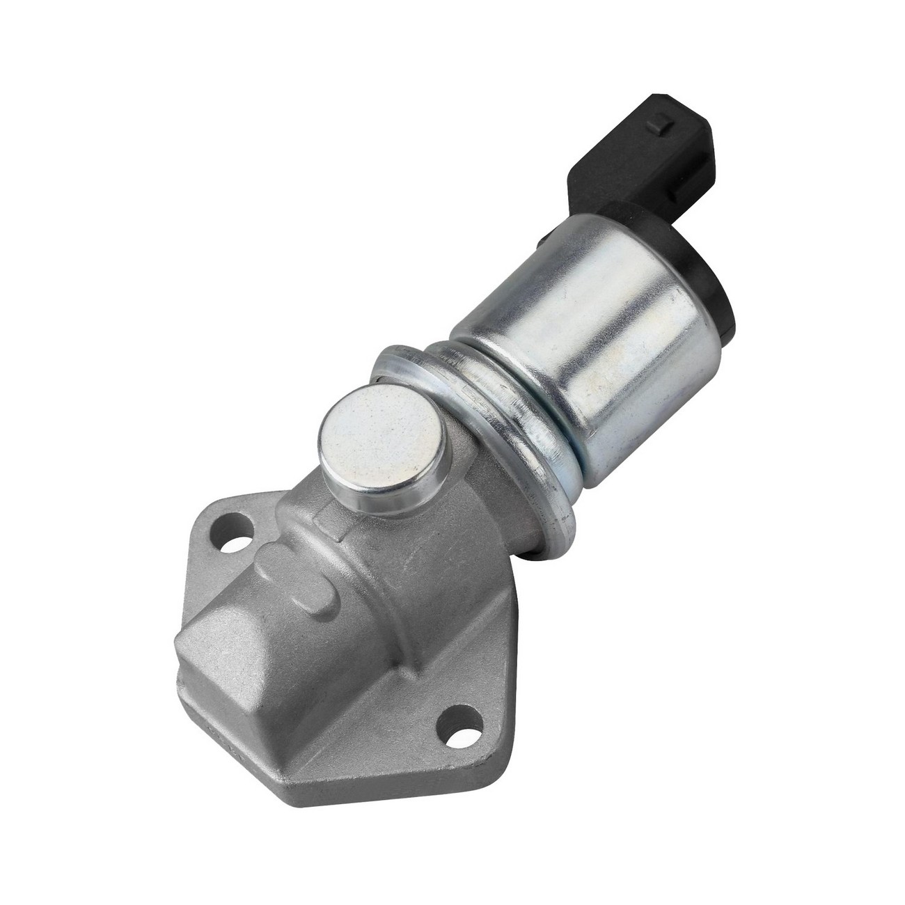 Valvula Ralenti Iac Paso A Paso Ford Fiesta 1.3 Endura