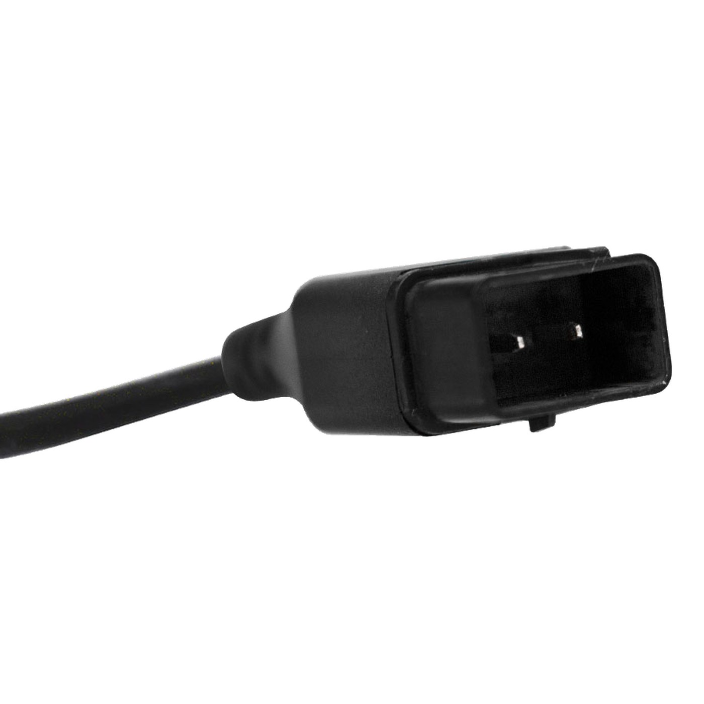 Imagen 5