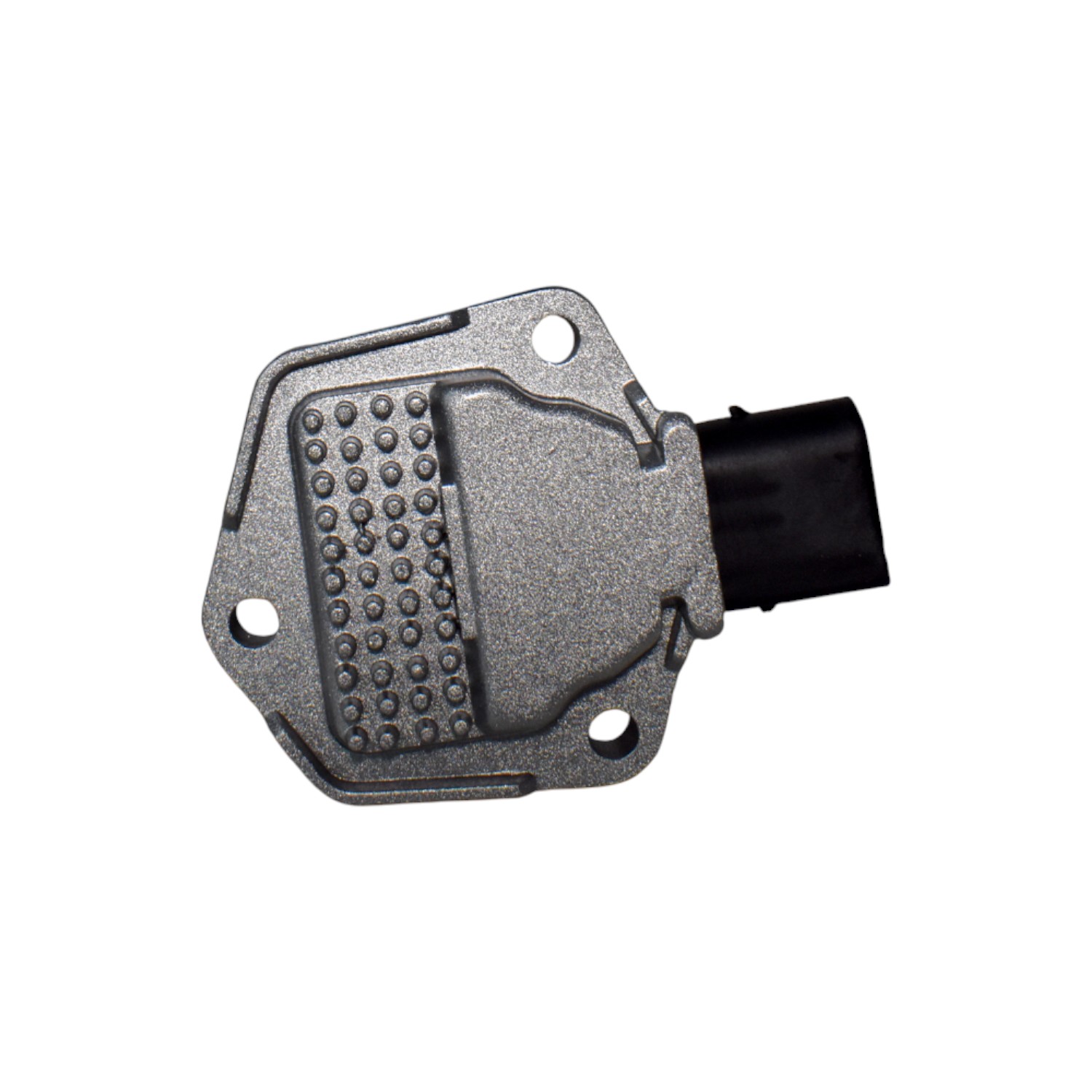 Imagen 5