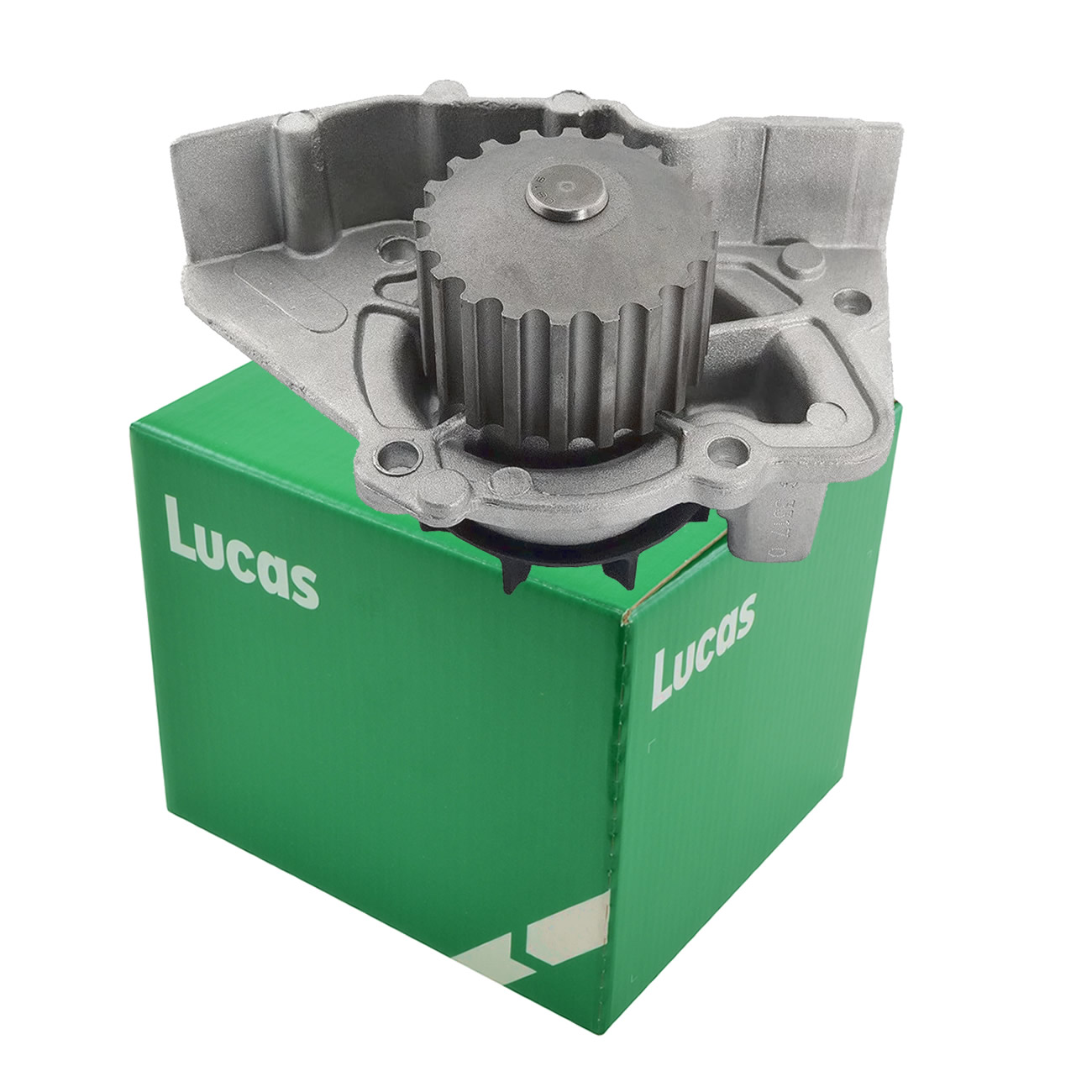 Bomba De Agua Citroen Berlingo Peugeot 306 405 1.9 D