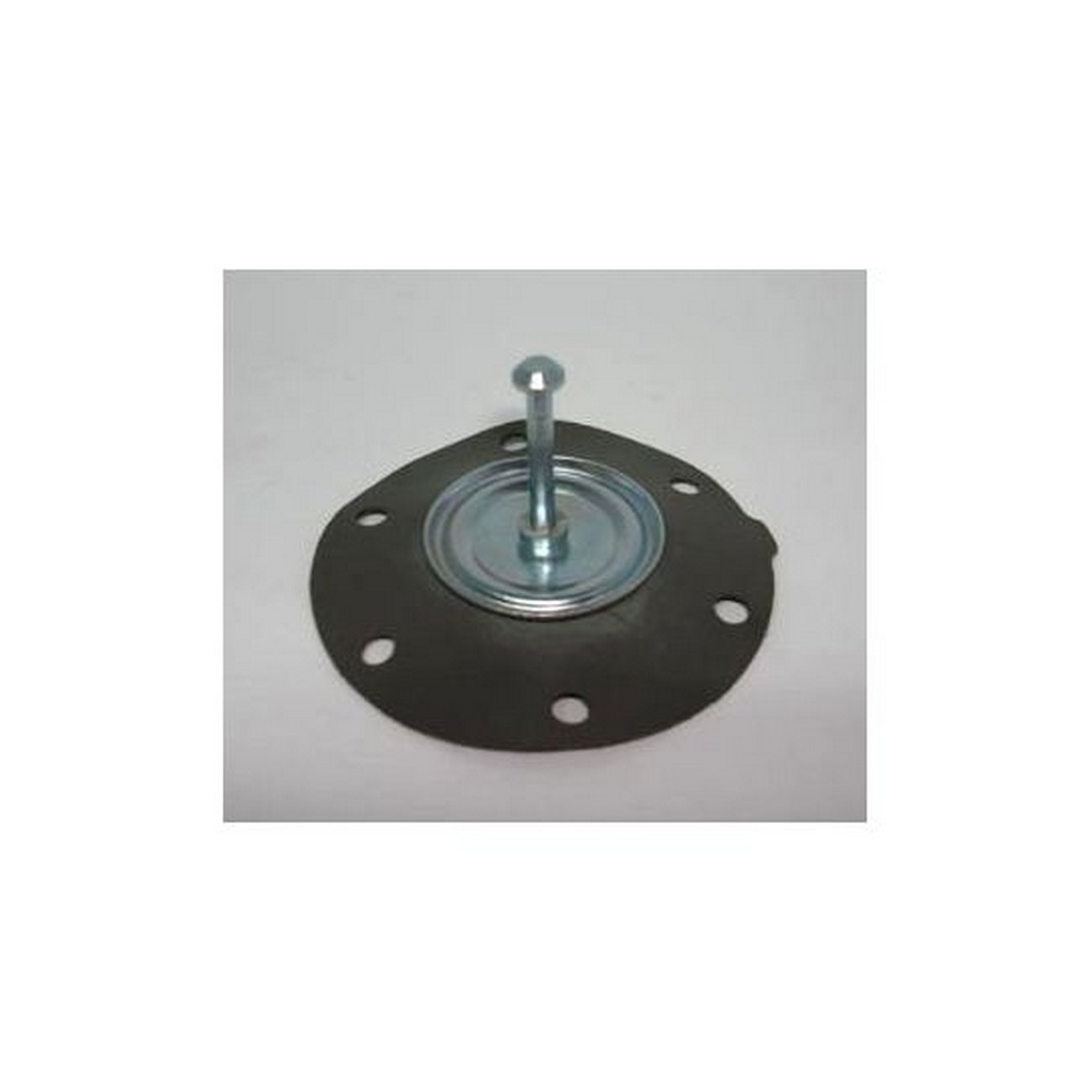 Diafragma Castro Renault 6 Gtl Bomba Carcion