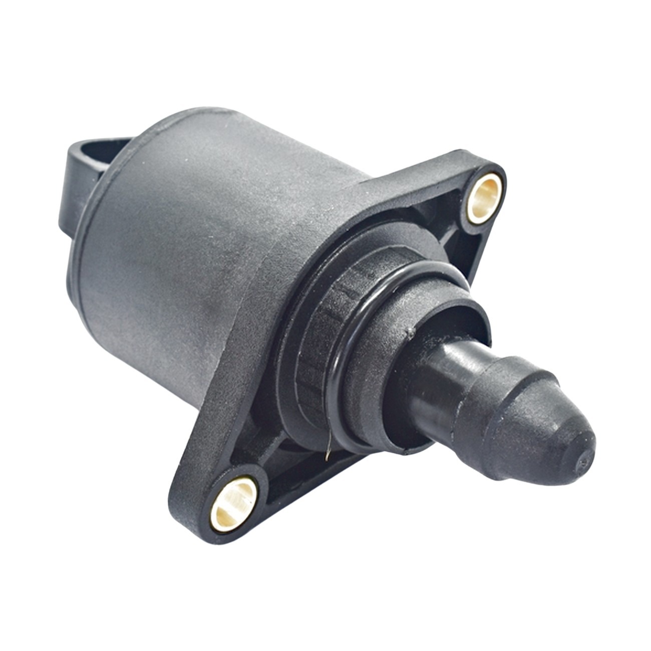 Paso Paso Delphi Ford Ecosport  Fiesta Max Ka 1.6 8v Rocam