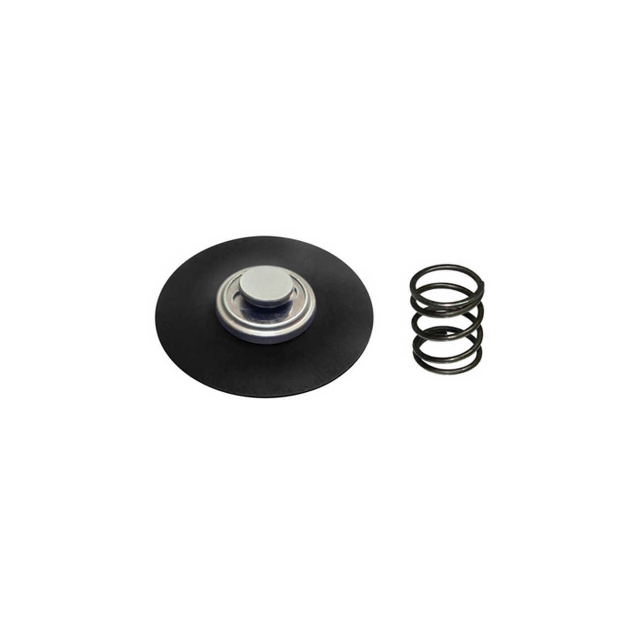 Kit Regulador De Presion Monopunto Bosch Diafragma Y Resorte